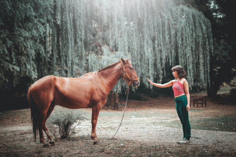 Girl with horse