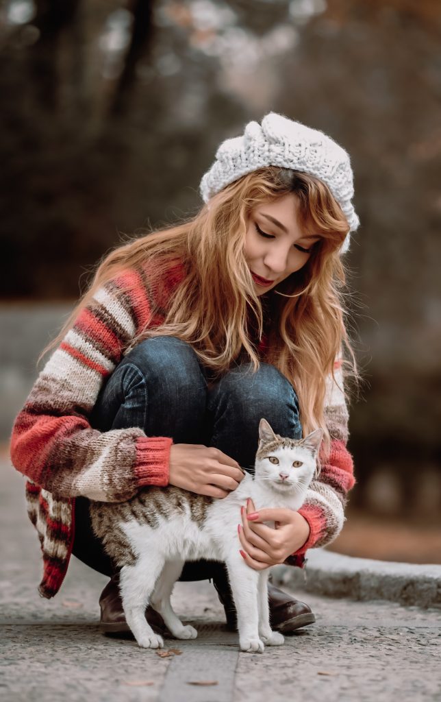 Spending time with animals: cat